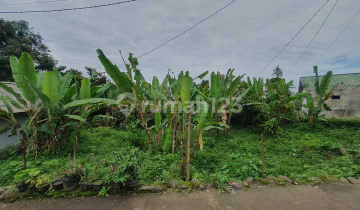 Di Jual Tanah Di Sukaluyu, Kec. Tamansari,ciapus Di Jual Tanah Di Sukaluyu, Kec. Tamansari,ciapus