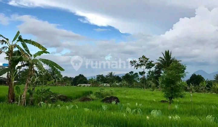 Tanah Murah Di Cijeruk Dengan Udara Sejuk Dengan View Spektakuler Pegunungan Tanah Murah Di Cijeruk Dengan Udara Sejuk Dengan View Spektakuler Pegunungan