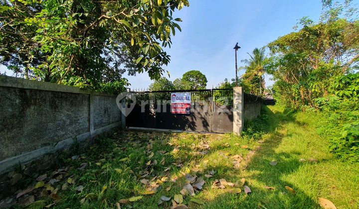 For Sale: Cheap Land with Poultry Coop Included For Sale: Cheap Land with Poultry Coop Included