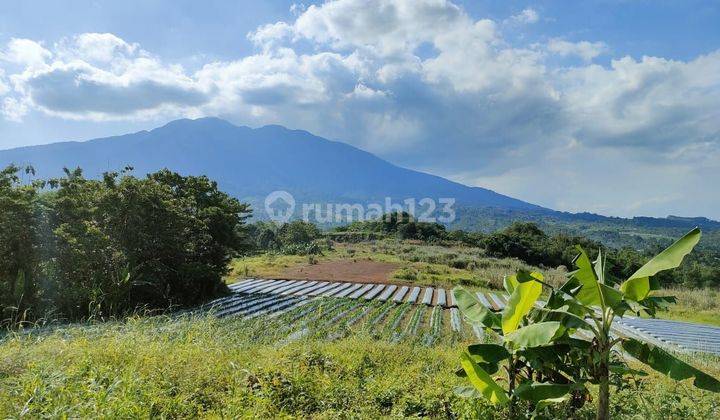 Tanah Murah Di Cicurug Kab. Sukabumi Hanya 285rb/meter Nego 2