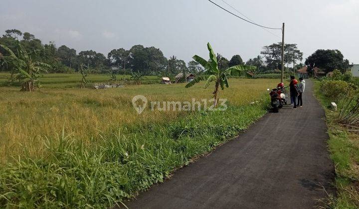 Tanah Murah View Pegunungan di Wisata Pamijahan cocok untuk Villa, Kebun, Peternakan, atau Cluster Kecil.
cuman 250rb/metr Nego 2