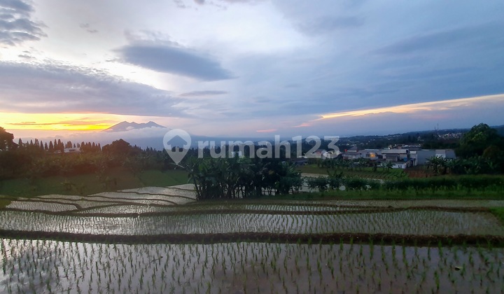 Di Jual Tanah Murah Di.arca Domas, Bonus 2 Rumah , 1 Villa Di Jual Tanah Murah Di.arca Domas, Bonus 2 Rumah , 1 Villa