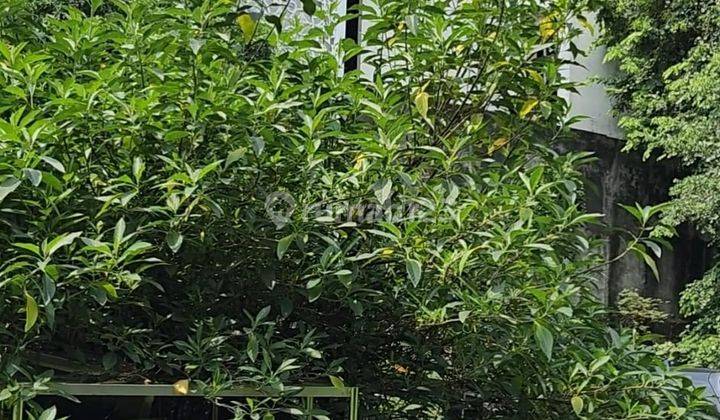 Dijual Kavling Dikemang Timur Raya Jakarta Selatan 5