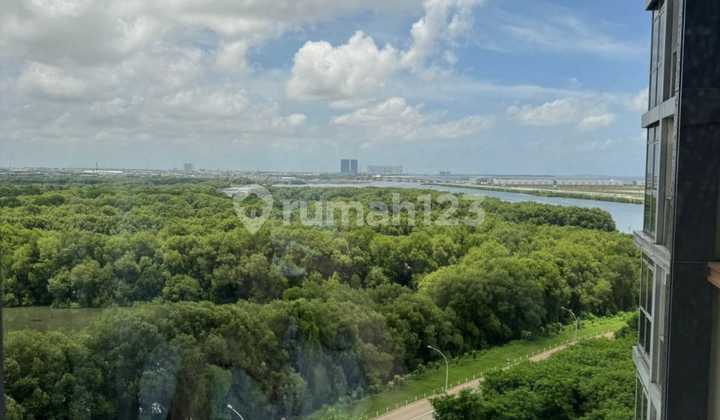 Apartemen Gold Coast Furnish 29m Pantai Indah Kapuk TERMURAH 2