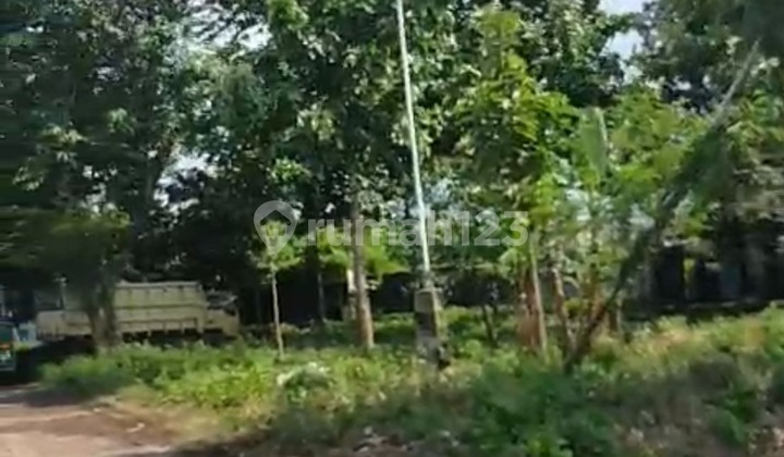 Tanah Murah Dekat Pergudangan 3,8 Ha SHM Rorotan Jakarta Utara Tanah Murah Dekat Pergudangan 3,8 Ha SHM Rorotan Jakarta Utara