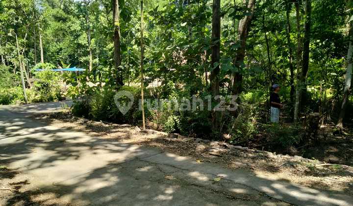 Dijual Lelang Tanah di Lendah, Kulon Progo SHM Lengkap