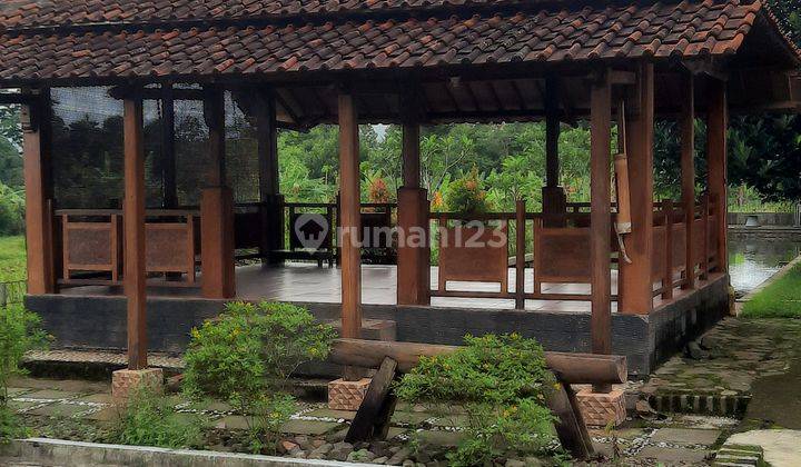 Dijual Cepat Rumah Lahan Luas Cocok Untuk Usaha Lokasi Bogor 5