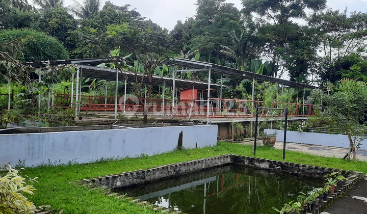 Dijual Cepat Rumah Lahan Luas Cocok Untuk Usaha Lokasi Bogor 7