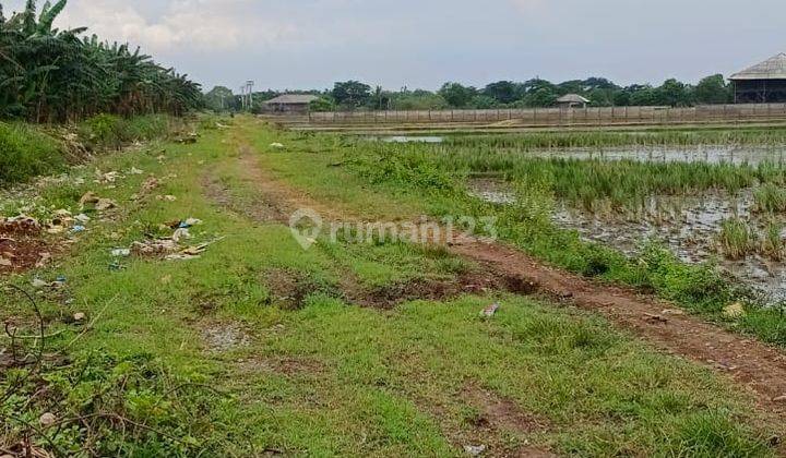 Dijual Tanah Sawah Lokasi Karang Bahagia Cikarang Bekasi 1