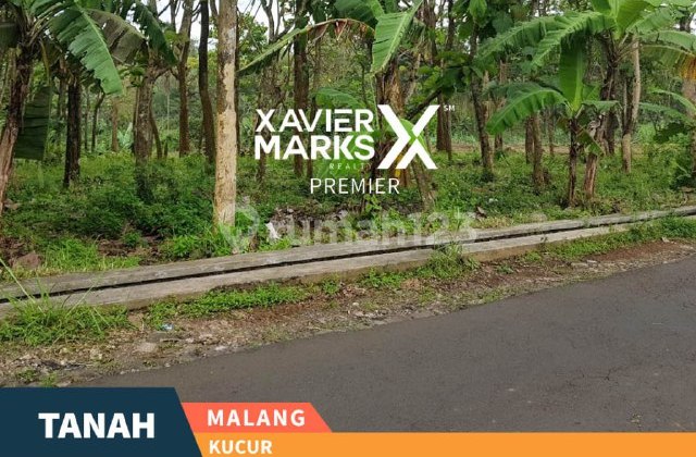 I4 Dijual Tanah Pekarangan Luas Lokasi Nol Jalan Raya