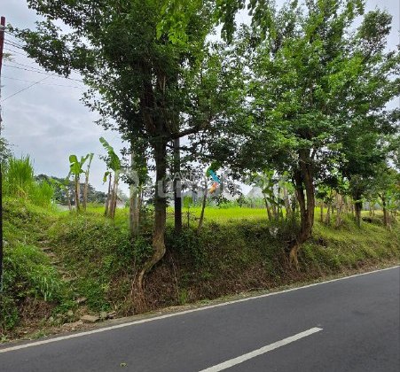 H92 Extensive and Strategic Land on Dieng Atas Road Axis, Malang