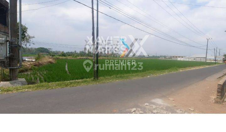 V035 Tanah Dijual Kawasan Singosari Malang  1