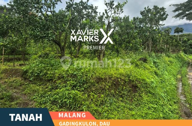 J27 Garden Orange Land for Sale at Low Price in Dau Malang