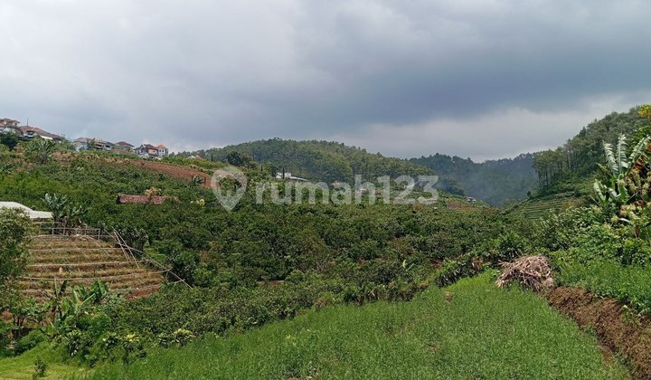 i001 Dijual Tanah Pekarangan Strategis Cocok Untuk Bangunan Villa 