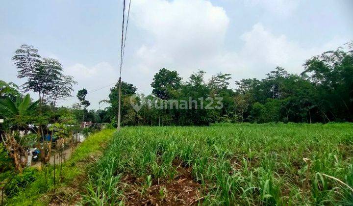 W128 Tanah Luas Dan Siap Bangun di Sumbersuko, Tajinan Malang  2