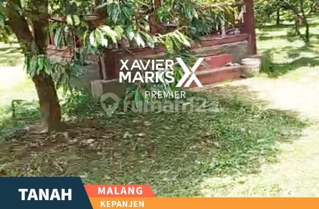 H87 Tanah Lahan Jual Harga Miring ,Full Pohon Durian Siap Panen H87 Tanah Lahan Jual Harga Miring ,Full Pohon Durian Siap Panen