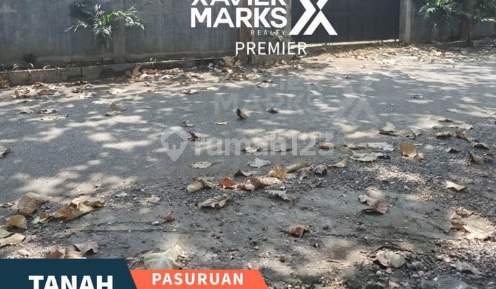 K177 Tanah Disewakan Murah, Dekat Area Industri Pasuruan K177 Tanah Disewakan Murah, Dekat Area Industri Pasuruan
