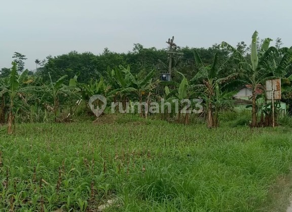 Lahan Strategis Eksklusif Luas Siap Pakai di Tegal Lahan Strategis Eksklusif Luas Siap Pakai di Tegal