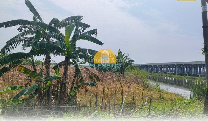 Dijual Lahan Murah Dekat Tol Demak Bebas Banjir 1