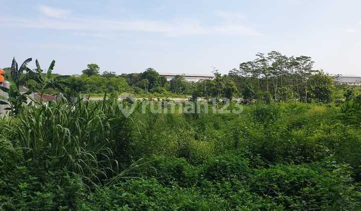 Dijual Tanah Murah di Beringin Raya 1