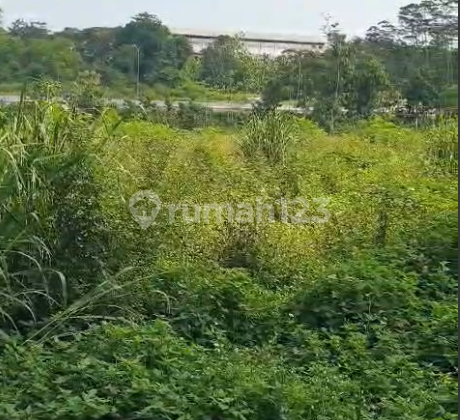 Dijual Tanah Murah di Beringin Raya 2