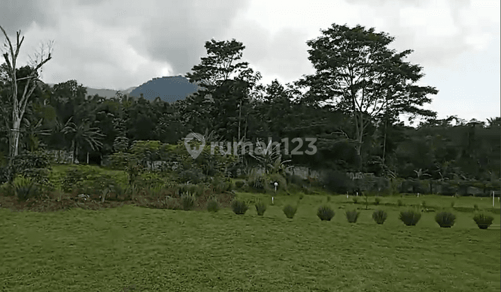 Dijual Tanah Murah Dan View Gunung di Boja 1