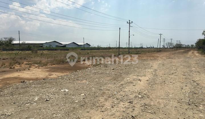 Land for Rent Near Terboyo Area. 1