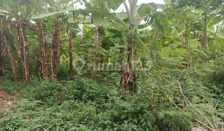 Tanah Bagus Eksklusif Siap Huni di Untung Suropati 2