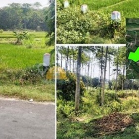 Strategic Industrial Land in Banyuurip Perfect for Factory Strategic Industrial Land in Banyuurip Perfect for Factory