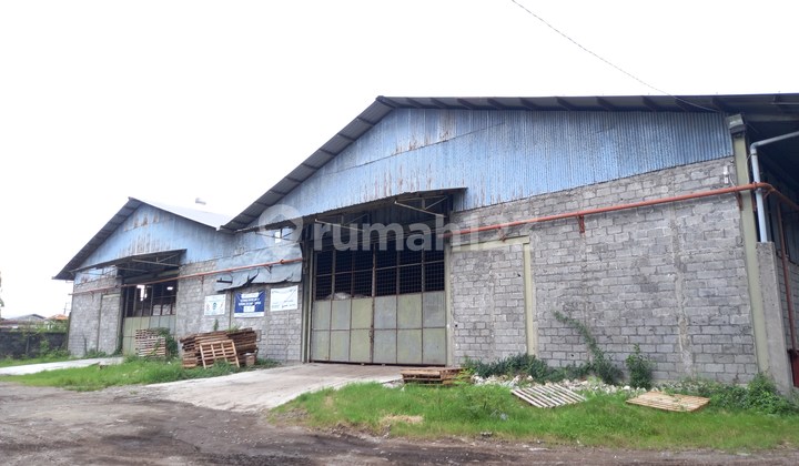 Gudang Wonodadi Demak Karangtengah Siap Pakai Bebas Banjir Gudang Wonodadi Demak Karangtengah Siap Pakai Bebas Banjir