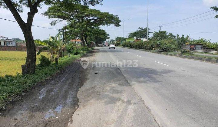 Tanah Strategis di Jalan Besar Lingkar Demak 2