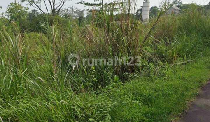 Tanah Strategis Bebas Banjir Lokasi Tegal Jawa Tengah Tanah Strategis Bebas Banjir Lokasi Tegal Jawa Tengah