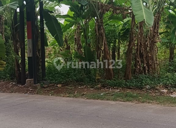 Tanah Bagus Eksklusif Siap Huni di Untung Suropati 1