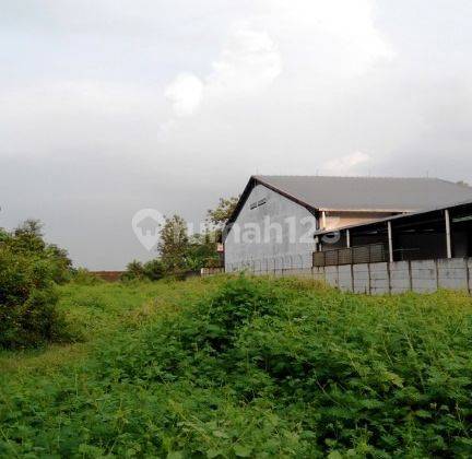 Lahan Startegis Cocok Untuk Usaha di Jalan Raya Montong Sari 1