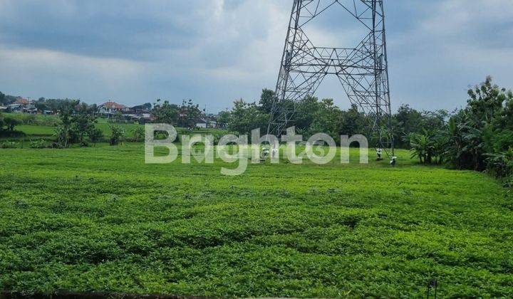 TANAH SAWAH DI DAERAH POPONGAN TW 1