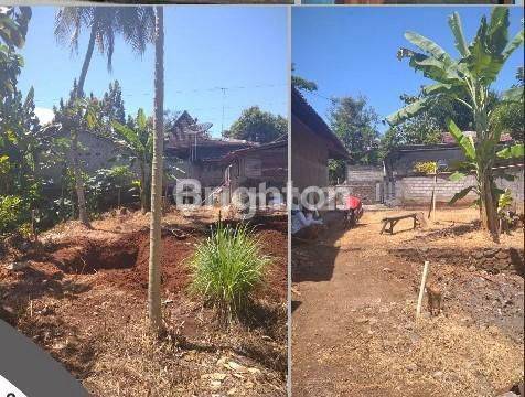 RUMAH DENGAN HALAMAN YANG LUAS DI DAERAH NGADIREJO KIDUL WONOGIRI 2