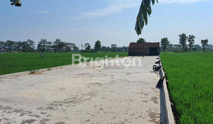 SELEPAN HITUNG TANAH DI KEBAKKRAMAT KARANGANYAR 2