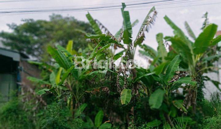 TANAH PEKARANGAN SIAP BANGUN DI BELAKANG MALL SOLO SQUARE MAKAM HAJI KARTASURA 2