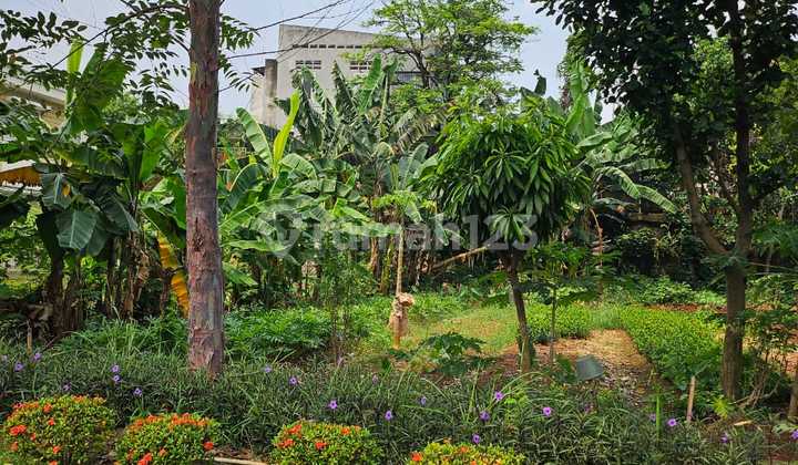 Kavling Ukuran 151 Badan, 159 Badan dan 171 Hook Lokasi Depan