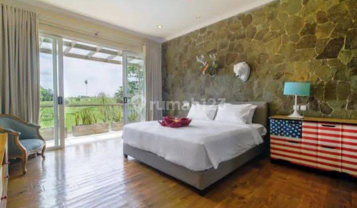 For rent monthly or yearly luxury villa view sawah di canggu 2