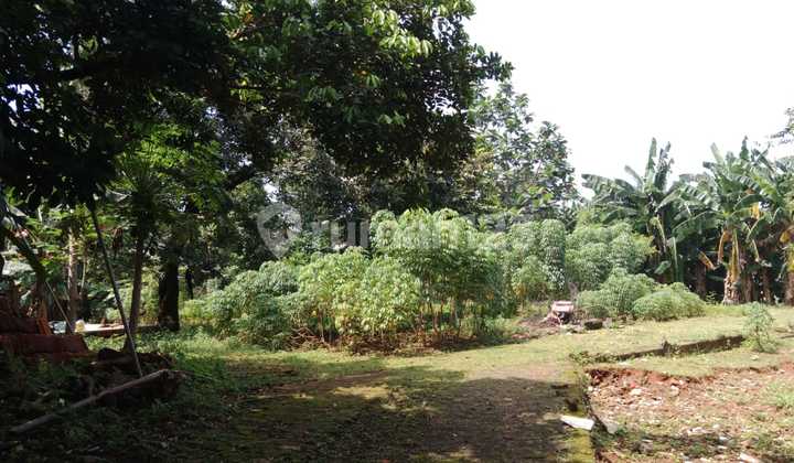 Tanah Luas Dgn Lokasi Strategis Dan Akses Mudah di Kemang Selatan