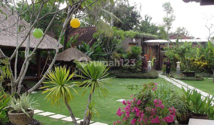 Rare Opportunity Vill With Rice Paddy View In Berawa  Shm - Sertifikat Hak Milik Butuh Renovasi di Berawa , Canggu