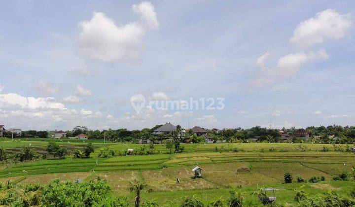 Rare Opportunity Vill With Rice Paddy View In Berawa  Shm - Sertifikat Hak Milik Butuh Renovasi di Berawa , Canggu