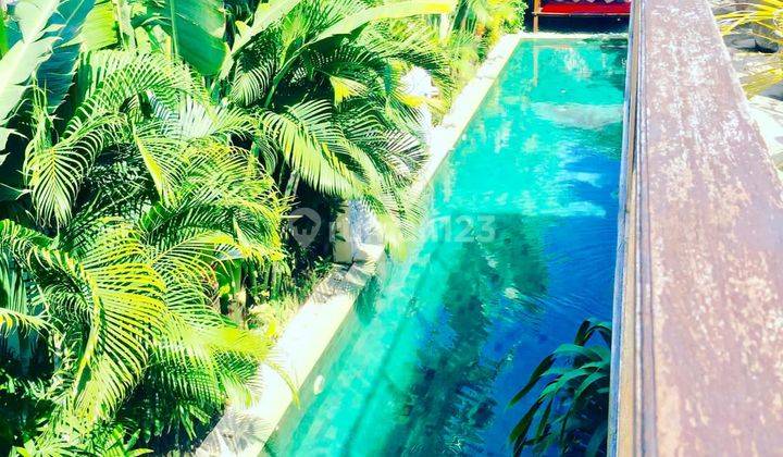 Modern Romantic Retreat  Shm - Sertifikat Hak Milik Di Kerobokan di Kerobokan 3