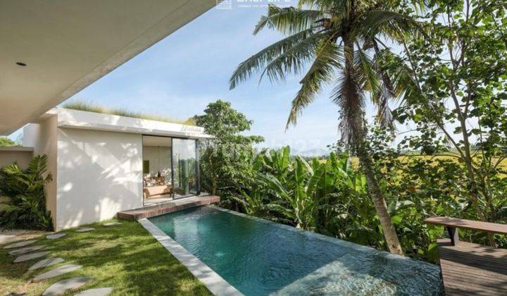 Welcome to the 3 Bedroom Villa, nestled in the heart of Beraban, where modern luxury meets timeless Balinese charm. Step into the airy living room adorned with richly textured indigenous fabrics. The open design seamlessly connects indoor and outdoor spac 2