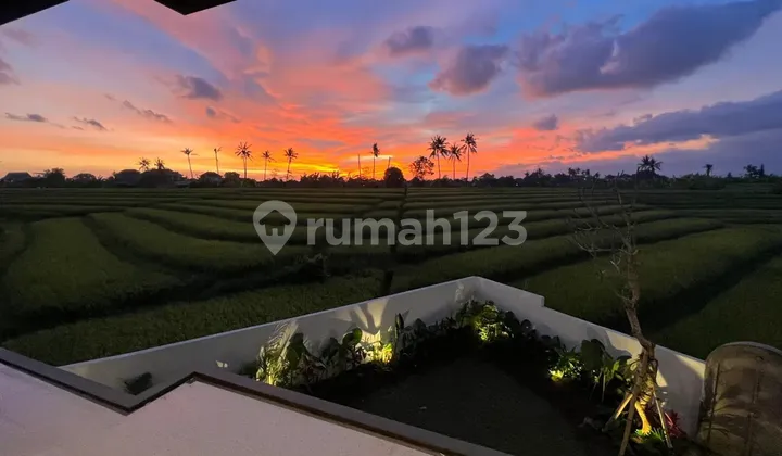 Brand New Unfurnished In Munggu Modern@style Brand New Unfurnished In Munggu Modern@style