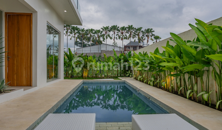 Elegant 2 Bedroom Villa In Buduk