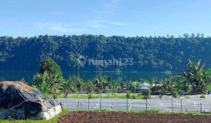 FOR SALE LAND VIEW DANAU BUYAN AT DASONH PANCASARI - BEDUGUL  2