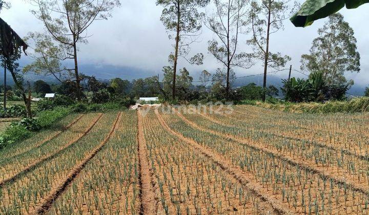 FOR SALE LAND VIEW LAKE BERATAN & MOUNT AGUNG 1