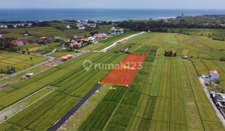 FREEHOLD LAND 10 ARA NEAR CEMAGI BEACH AND MUNGGU 1